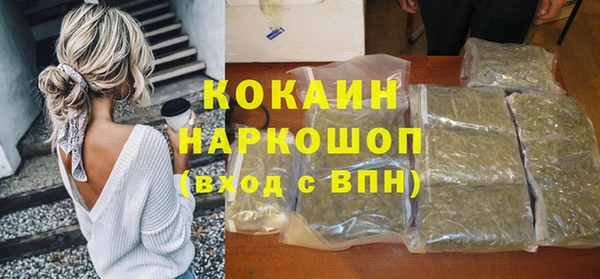 амф Верея