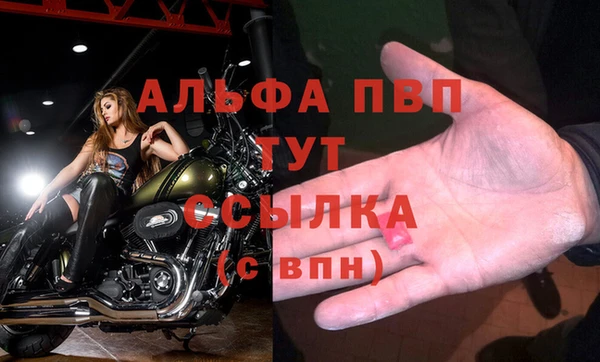 амф Верея