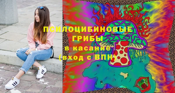 хмурый Верхний Тагил