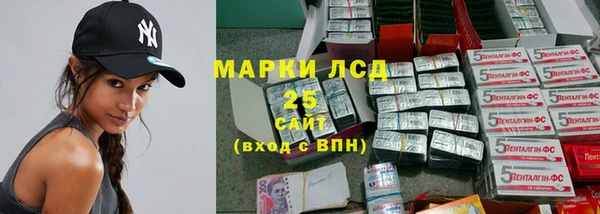 амф Верея