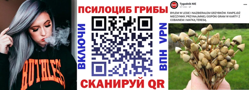 купить наркотики цена  Горбатов  Псилоцибиновые грибы прущие грибы 